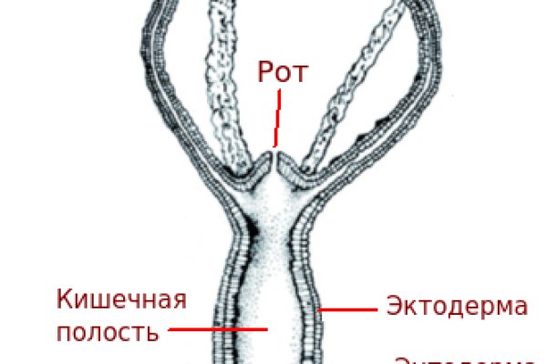 Кракен сайт kr2web