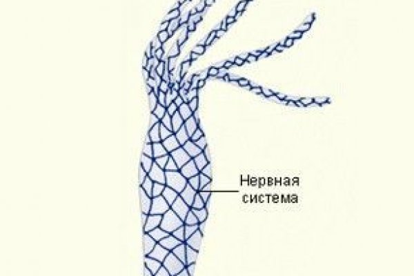 Kraken ссылка на сайт тор